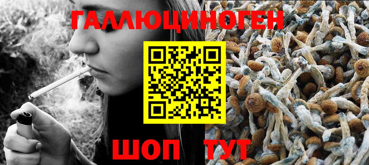 Северобайкальск  Галлюциногенные грибы мицелий  Вход с VPN 